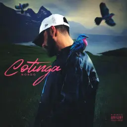 song-image